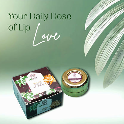 Ishmi Medicated Beeswax Lip Balm | Repair & Moisturize Dry Lips